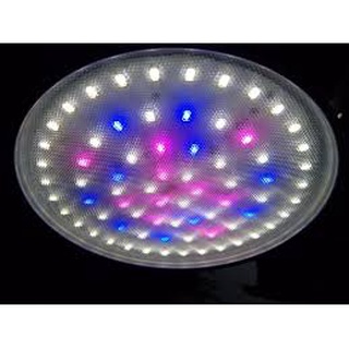 Đèn LED XINMA 20W - 40W