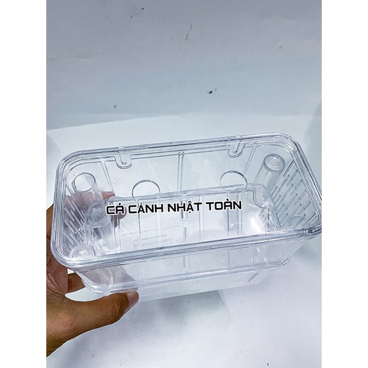 LỒNG ẤP CÁ 7 MÀU ĐẺ CỠ BỰ 17x7x15cm