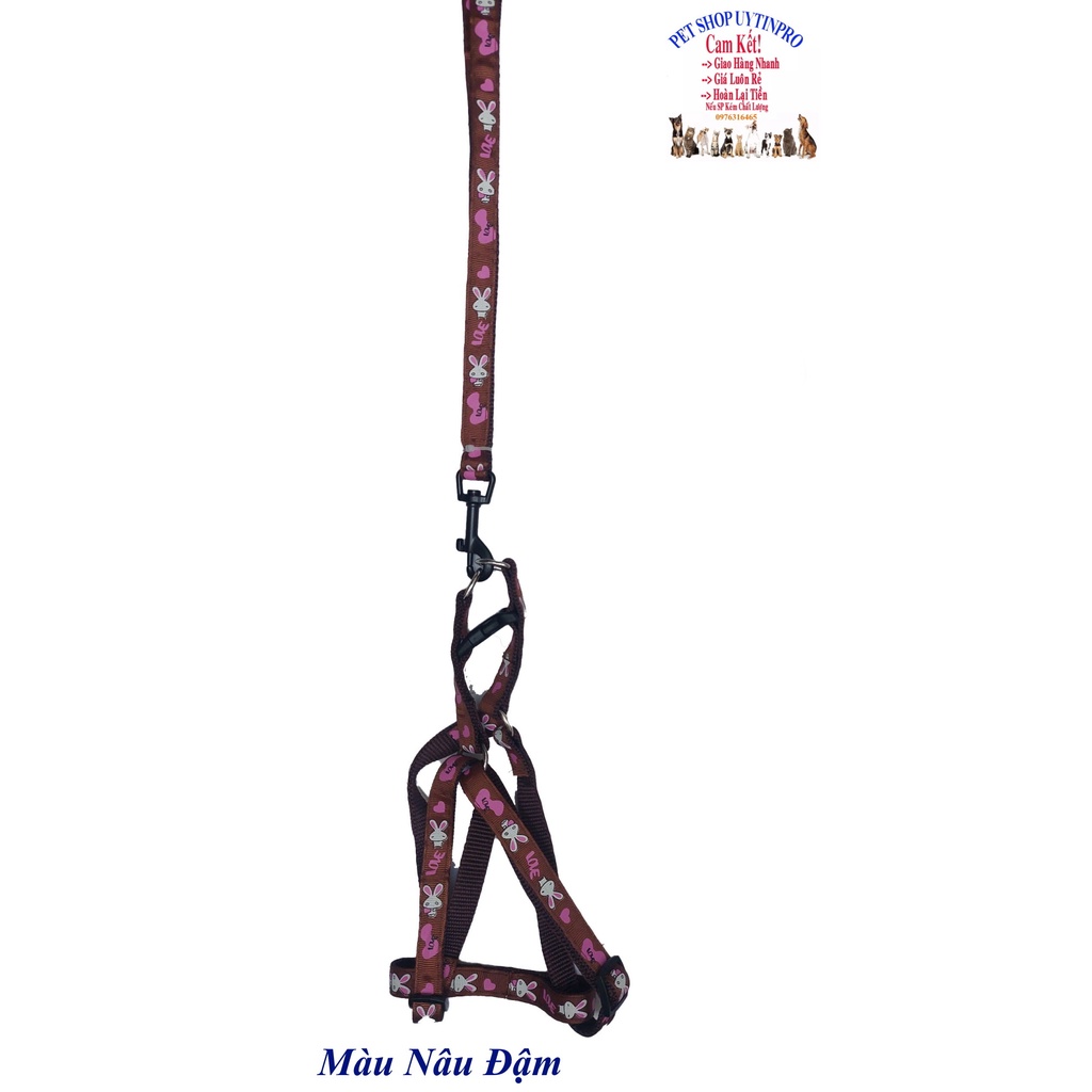 Dây dắt kèm yếm cho Chó Mèo Từ 5kg đến 10kg Bản rộng 1.5cm Dài 130cm Zichen In hình bất kỳ Chất liệu dù cao cấp, An toàn