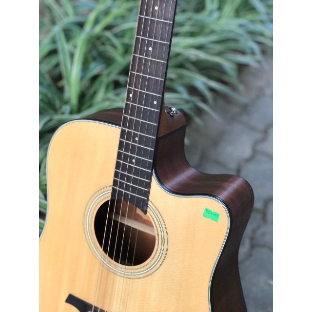 Guitar Acoustic Rex RD1C-NM - Sol.G phân phối chính hãng