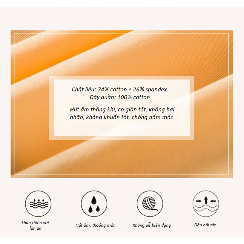 Quần Lót Băng Lụa Kháng Khuẩn Siêu Mỏng Mịn Daisy P285