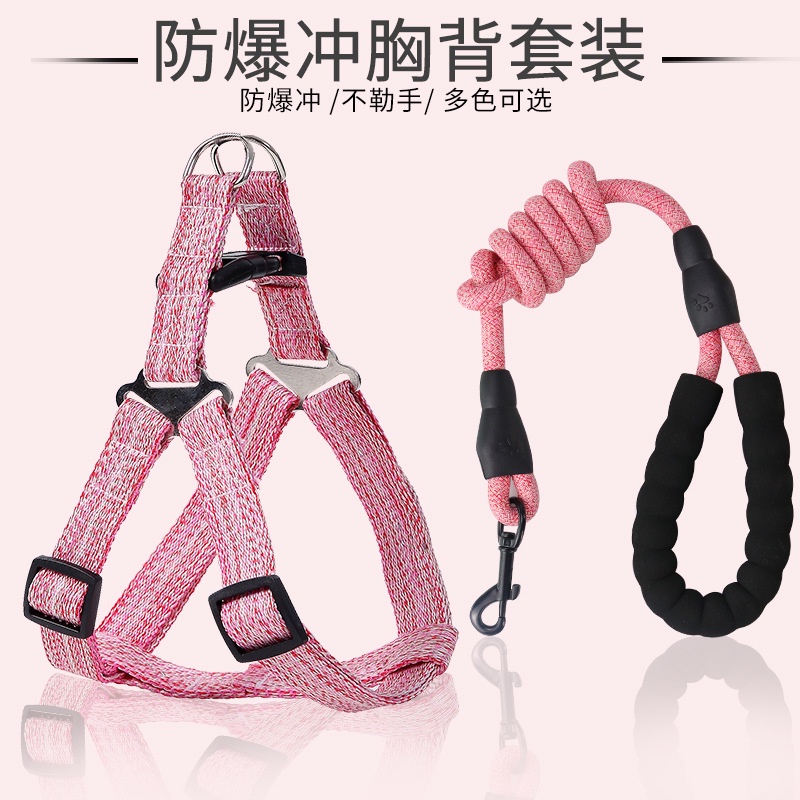Dây Dẫn Chó Mèo Đi Dạo
