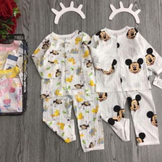 Combo 4b Cotton giấy