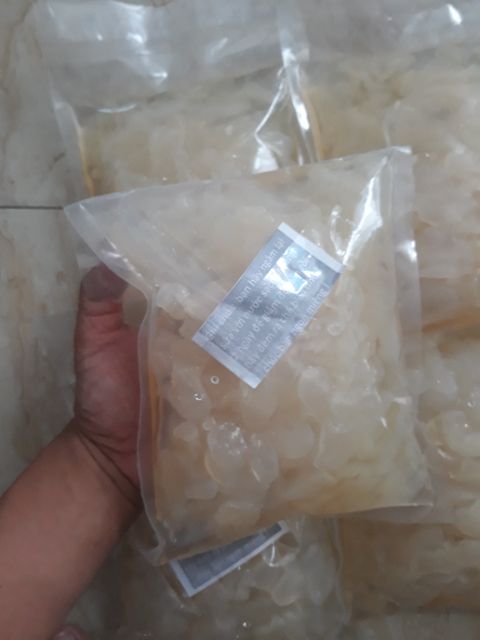 (5kg) SỨA BIỂN ⭐️ SỨA làm gỏi - Bún SỨA - SỨA biển Nha Trang
