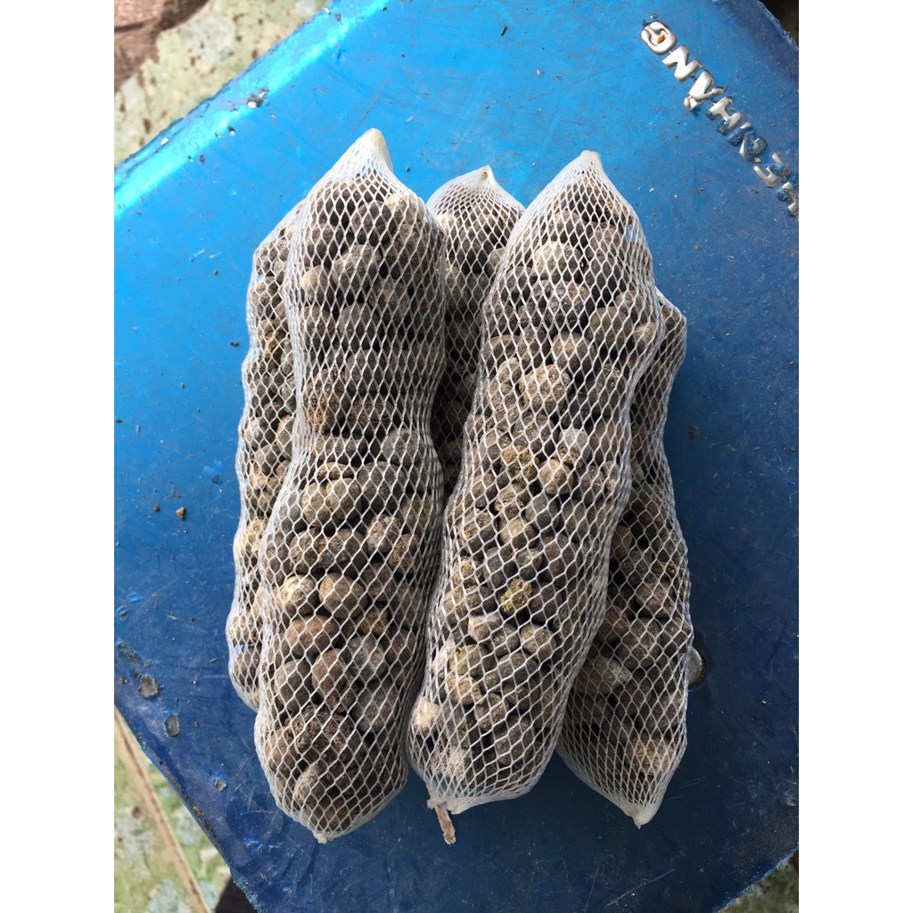 [SIEURE] Combo 30 túi phân dê ủ nấm trichoderma dài 15cm hàng đẹp, phân phối chuyên nghiệp.