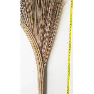 Chổi dừa nước (Bến Tre)