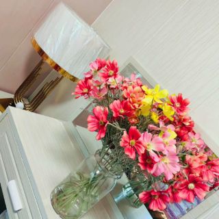 Hoa lụa - hoa cánh bướm