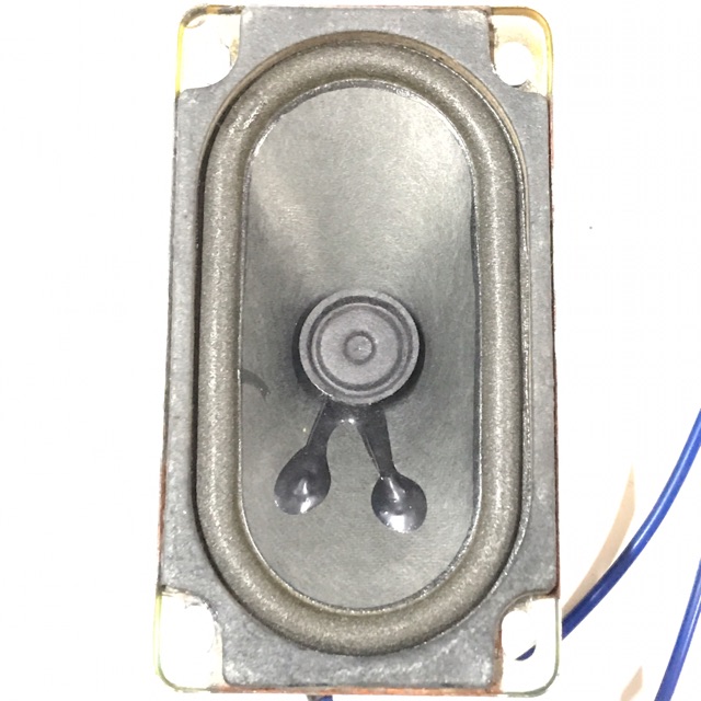 Loa toàn dải oval