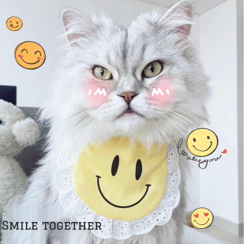 Yếm đeo cổ đáng yêu dành cho thú cưng