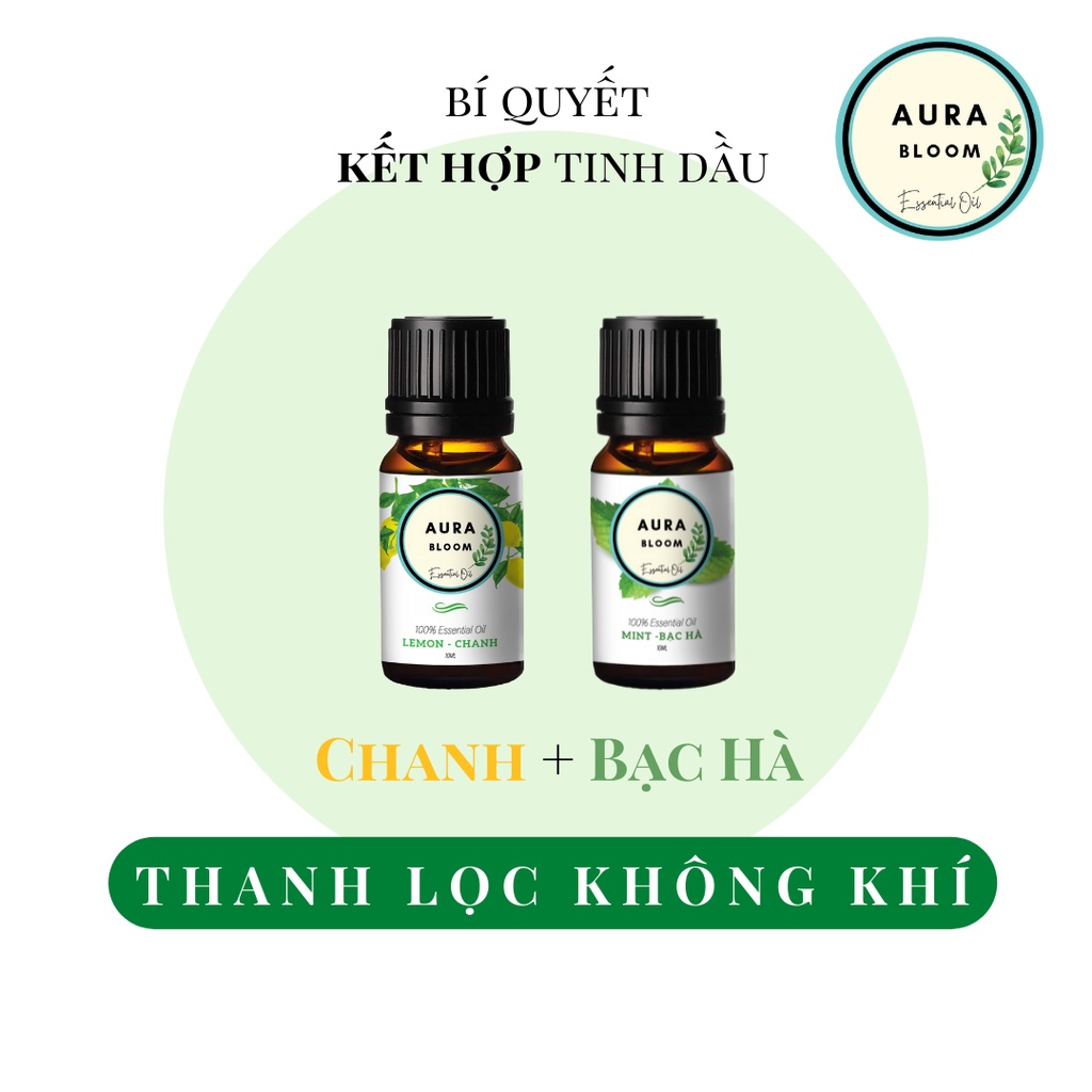 Tinh Dầu Thiên Nhiên Thơm Phòng Aura Bloom Nguyên Chất 10ml | Tinh dầu Treo xe Nhập Khẩu Có Kiểm Định