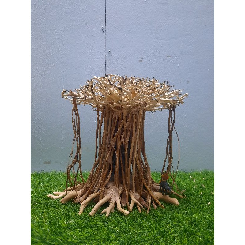 Lũa bonsai đa làng rễ rừng thả