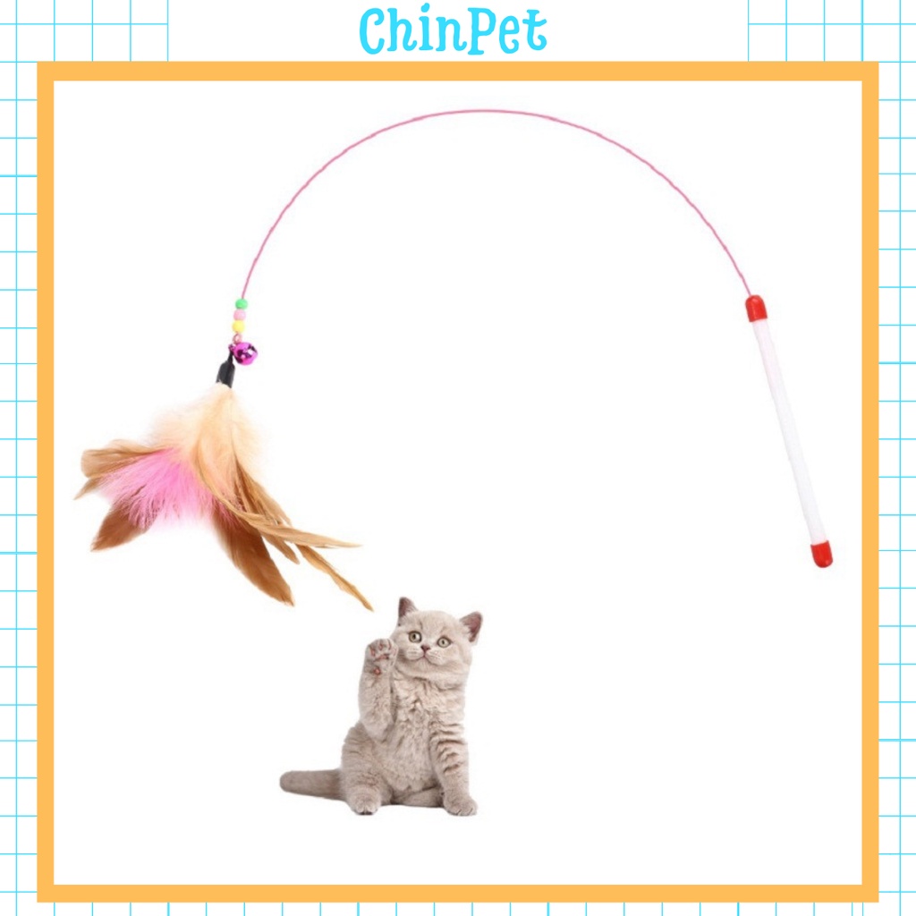 Cần câu mèo, đồ chơi cho mèo - chinpet