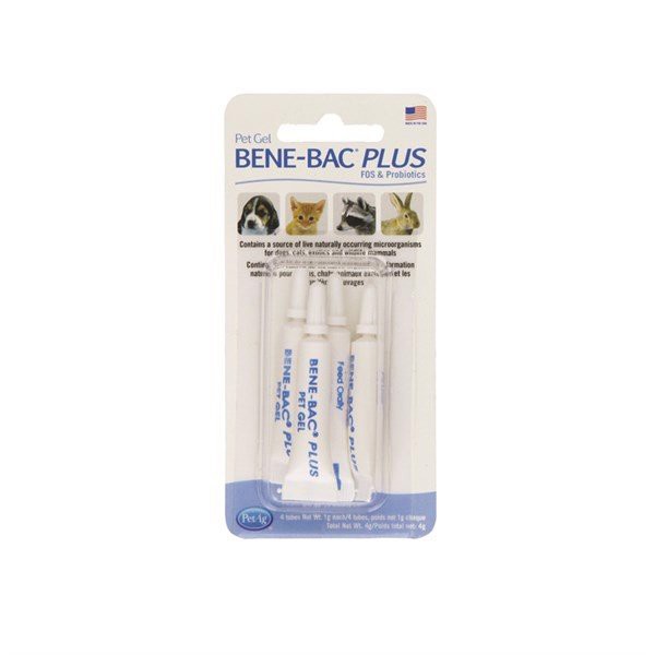 BENE-BAC-PLUS Men vi sinh - Hỗ trợ tiêu hóa chó mèo thú cưng tuýp 1g (hộp / 4 tuýp)
