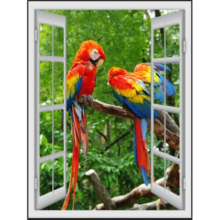 Tranh dán tường Tranh cửa sổ Vẹt Nam Mỹ kích thước cao 120cm x ngang 90cm có keo sẵn mặt sau