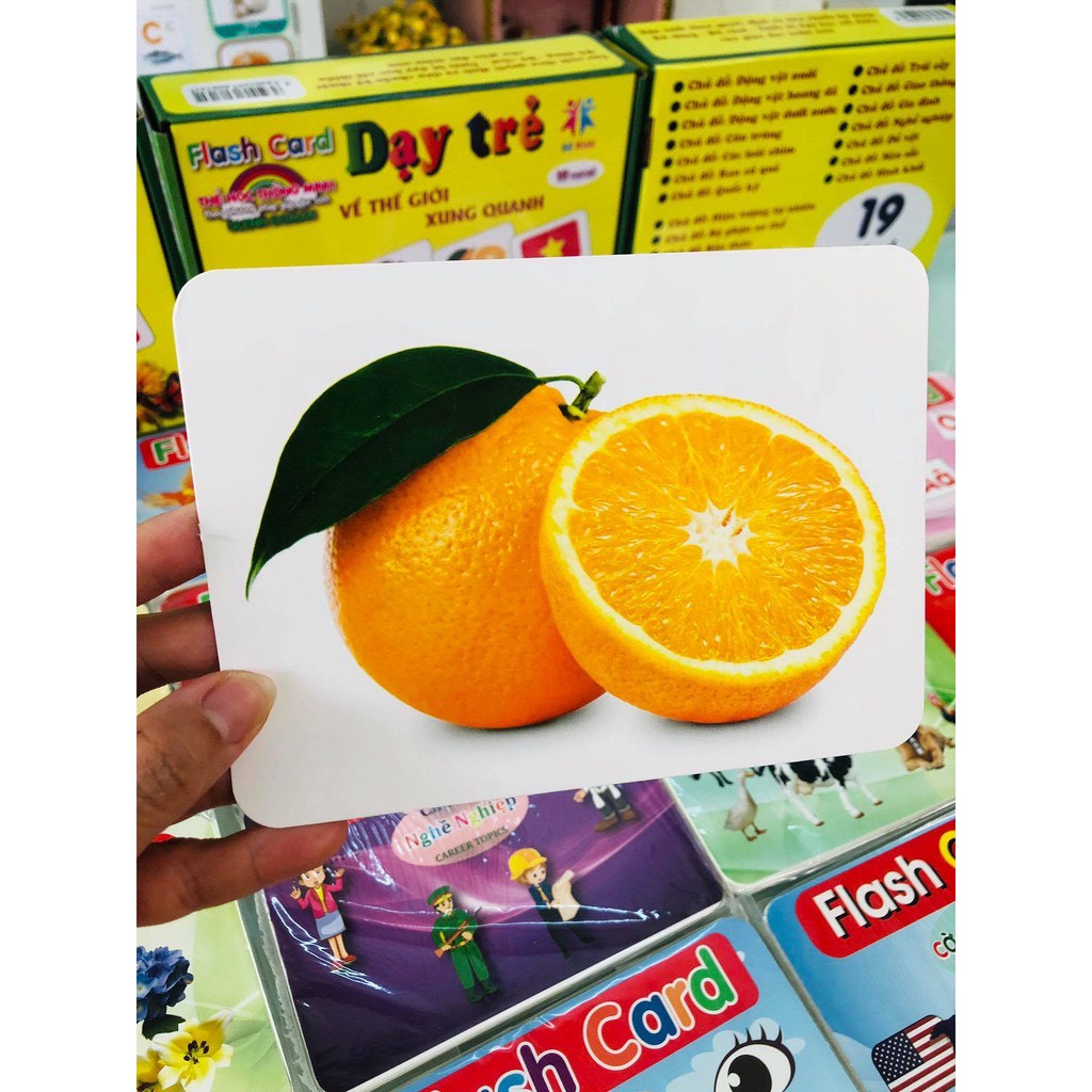 Thẻ học thông minh kích thước lớn 12x16cm tùy chọn - thẻ học in hai mặt Ivory Flashcard TGXQ Glenn doman chuẩn