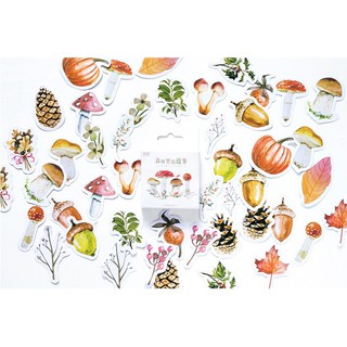 Hình dán trang trí sticker chủ đề mùa thu STK049