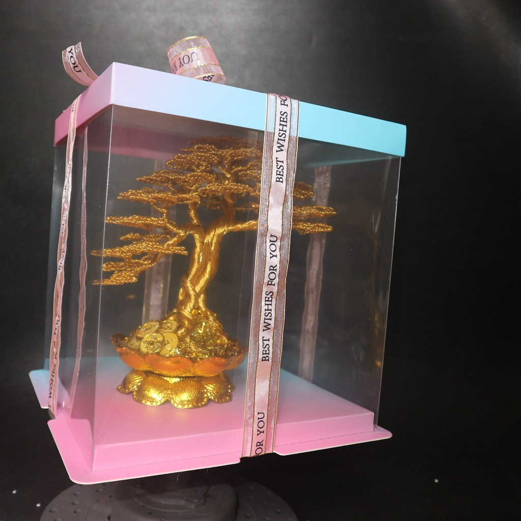 Cây tài lộc bonsai dây nhôm màu có hộp quà, quà Tặng Tân Gia, Khai Trương, Tặng Sếp, Tượng Phong Thủy.