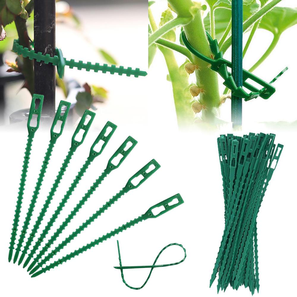 Kẹp Hỗ Trợ Cây Leo Bằng Nhựa 13cm Tiện Dụng Cho Sân Vườn