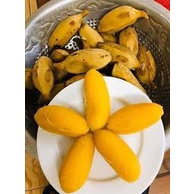 Cây giống chuối sáp nghệ cấy mô
