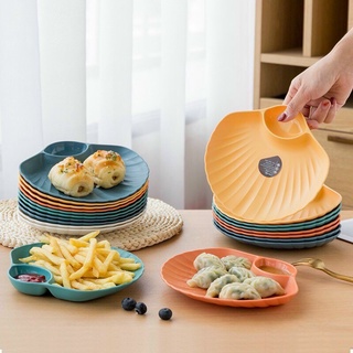 set đĩa vỏ sò