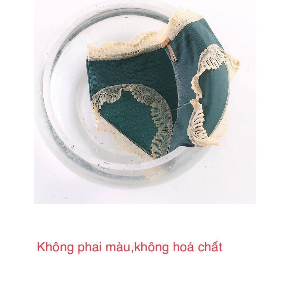 Quần lót nữ viển ren , quần lót cotton gỗ sồi q833 không gian eva KGE