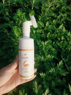 Sữa rửa mặt colqgel nghệ nhân sâm