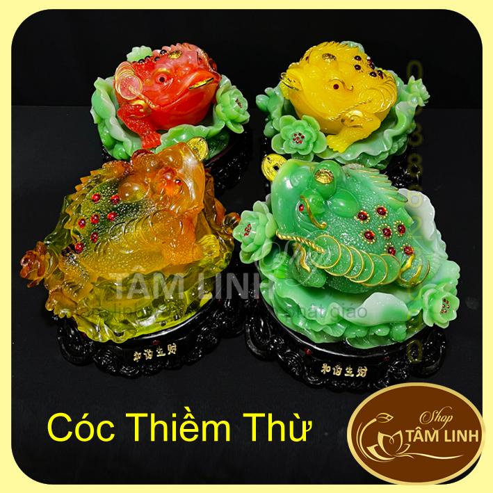 Cóc Ngậm Tiền Thiềm Thừ Phong Thủy đế  xoay 360 độ đặt ban thần tài.