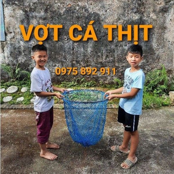 VỢT CÁ THỊT KHI THU HOẠCH , CHUYỂN CÁ LỒNG SANG LỒNG