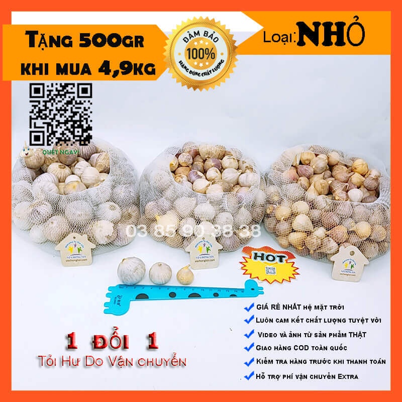 1 kg tỏi cô đơn, mồ côi, 1 nhánh Việt Nam loại NHỎ ngon lành bón phân sinh học cực tốt cho sức khỏe