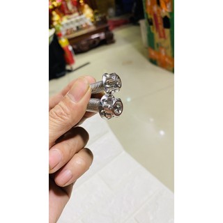 Ốc salaya inox đầu bông 8ly-10ly gắn pát heo dầu .