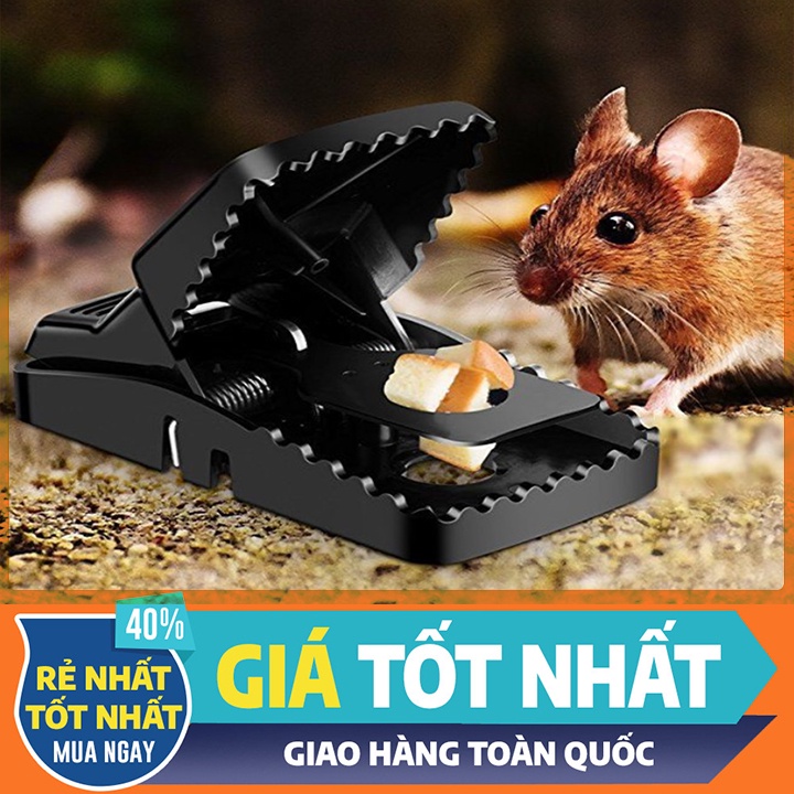 Bẫy Chuột Thông Minh, Dễ sử dụng, Hiệu quả Cao, Không độc hại - Bẫy Chuột - Bắt Chuột