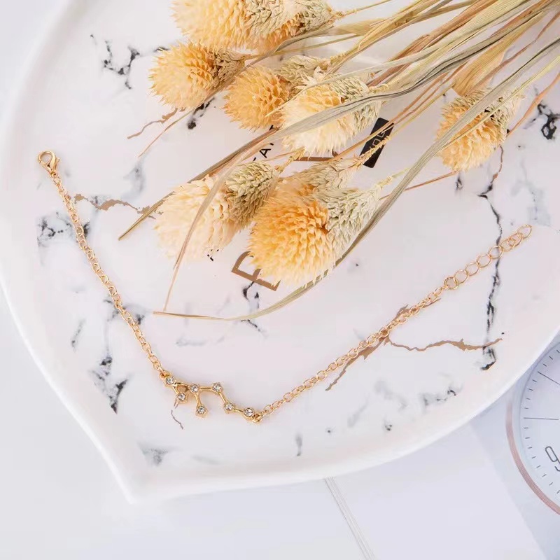 Vòng Tay Chuỗi Hạt Kim Cương Hình 12 Cung Hoàng Đạo Chất Lượng Cao libra cancer Aquaman