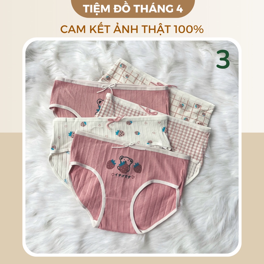 Quần Chip Nữ TIỆM ĐỒ THÁNG 4 Lót Nữ Cotton Kháng Khuẩn Họa Tiết Siêu Cute Dễ Thương Giao Màu Ngẫu Nhiên CHIP CUTE