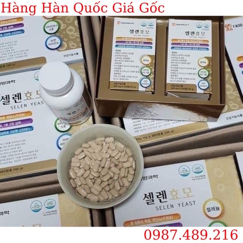 Viên Uống Tăng Cân D Selen Yeast Hàn Quốc, Hộp 2 Lọ * 240 Viên, Giúp Ăn Ngon, Khỏe Mạnh [ Hàng Mới Về ]