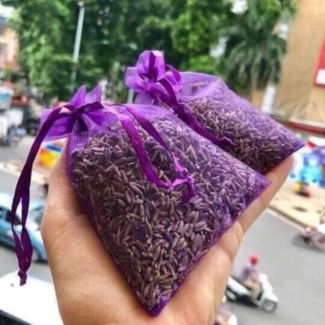 Nụ hoa lavender khô