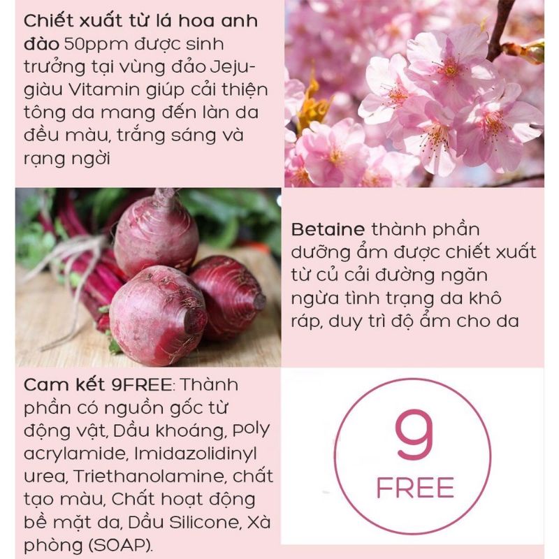 Sữa Rửa Mặt  Dạng Gel Dưỡng Ẩm, Sáng Da Chiết Xuất Hoa Anh Đào Innisfree Jeju Cherry Blossom Jam Cleanser 150ml