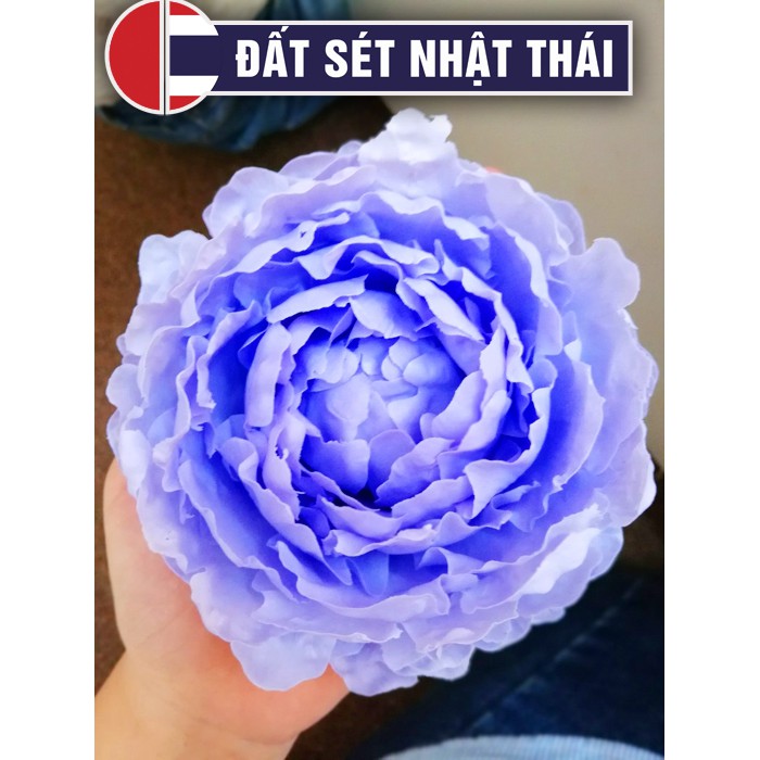 PHẤN TIÊN 24 MÀU LÀM HOA ĐẤT SÉT NHẬT, HOA GIẤY, TRANG ĐIỂM BÚP BÊ, TƯỢNG CHIBI, NHUỘM TÓC MASTER PASTEL 24 COLORS