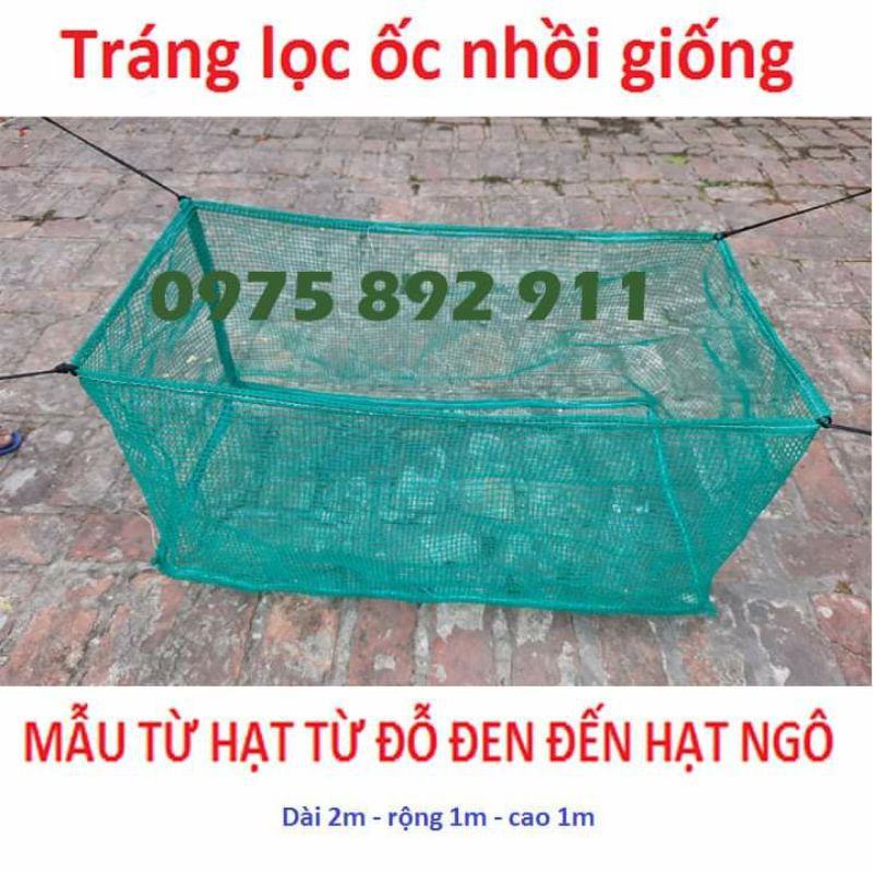 TRÁNG LỌC ỐC NHỒI GIỐNG
