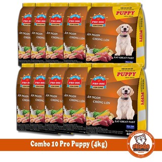 [GIÁ TỐT- DATE MỚI]Combo 10 gói thức ăn cho chó Pro Dog