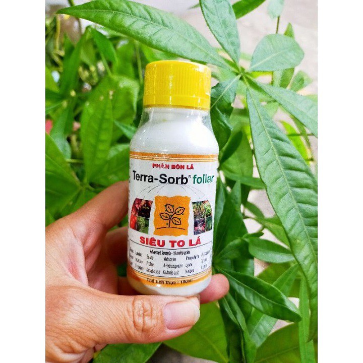 Phân bón lá cao cấp siêu to lá terra-sorb foliar chai 100ml