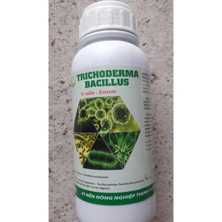 Nấm đối kháng Trichoderma