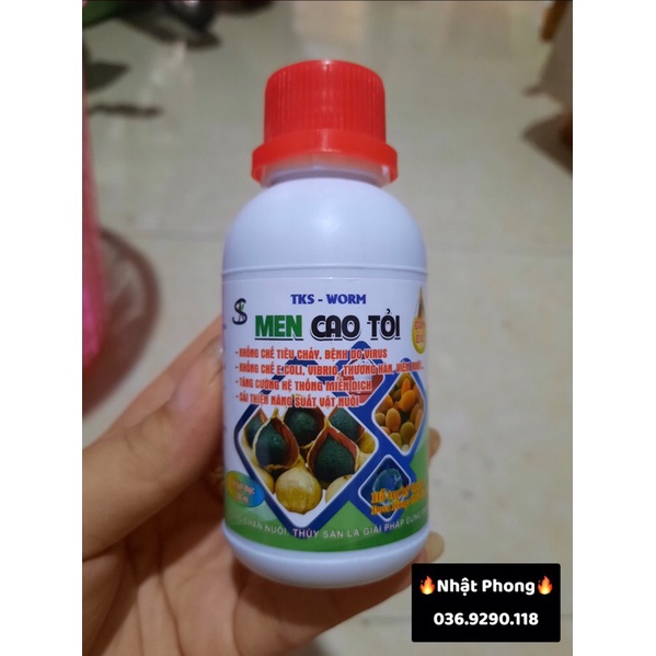 MEN CAO TỎI -