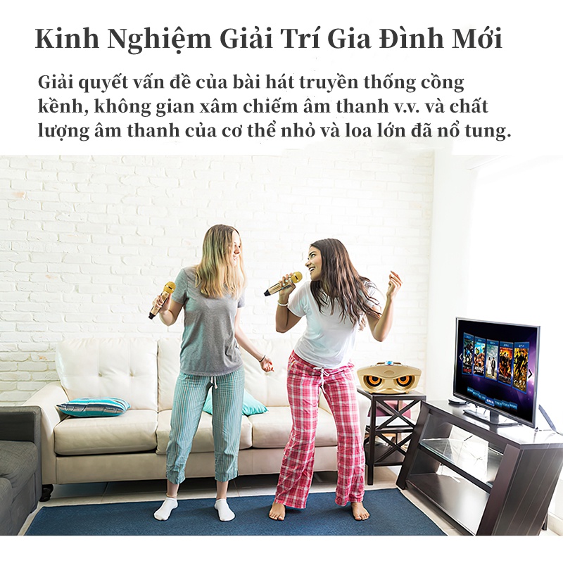 Loa Bluetooth Loa kèm micro hát karaoke Bluetooth SD306plus Không dây hết với điện thoại, máy tính bảng, Smart TV v.v...