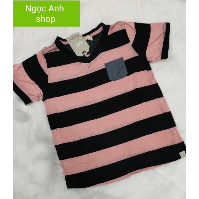 Áo thun nam/ nữ