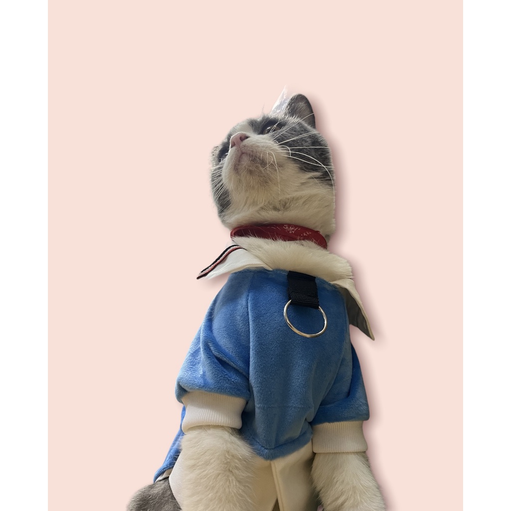 Áo sơ mi sành điệu cho chó mèo/ Áo có cổ cho thú cưng