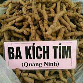 BA Kích Tím Rừng