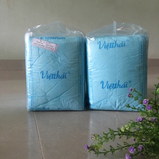 Bỉm người già việt thái gói 10 miếng