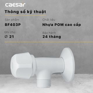 Van khống chế nhựa BF403P -BF427P CAESAR