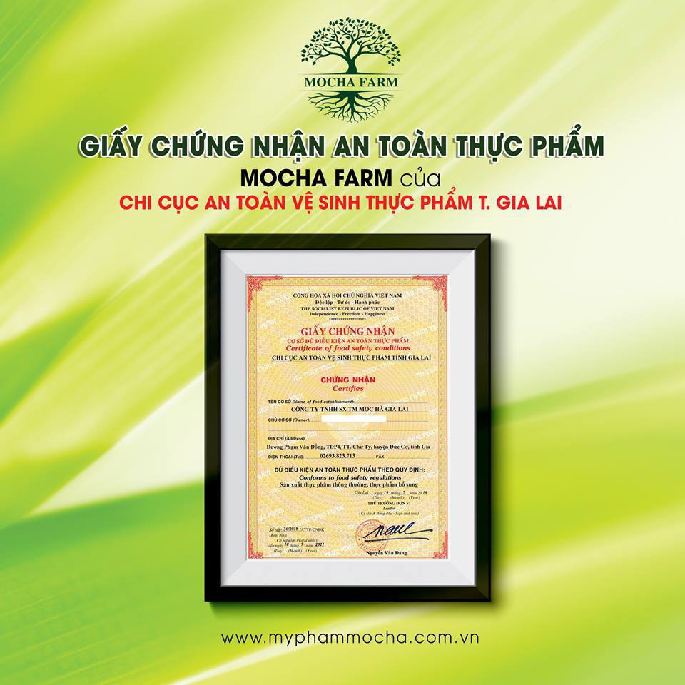 Kẹo Mầm Đậu Nành MOCHA Bigsize - Hỗ Trợ Tăng V1 - 200g | BigBuy360 - bigbuy360.vn