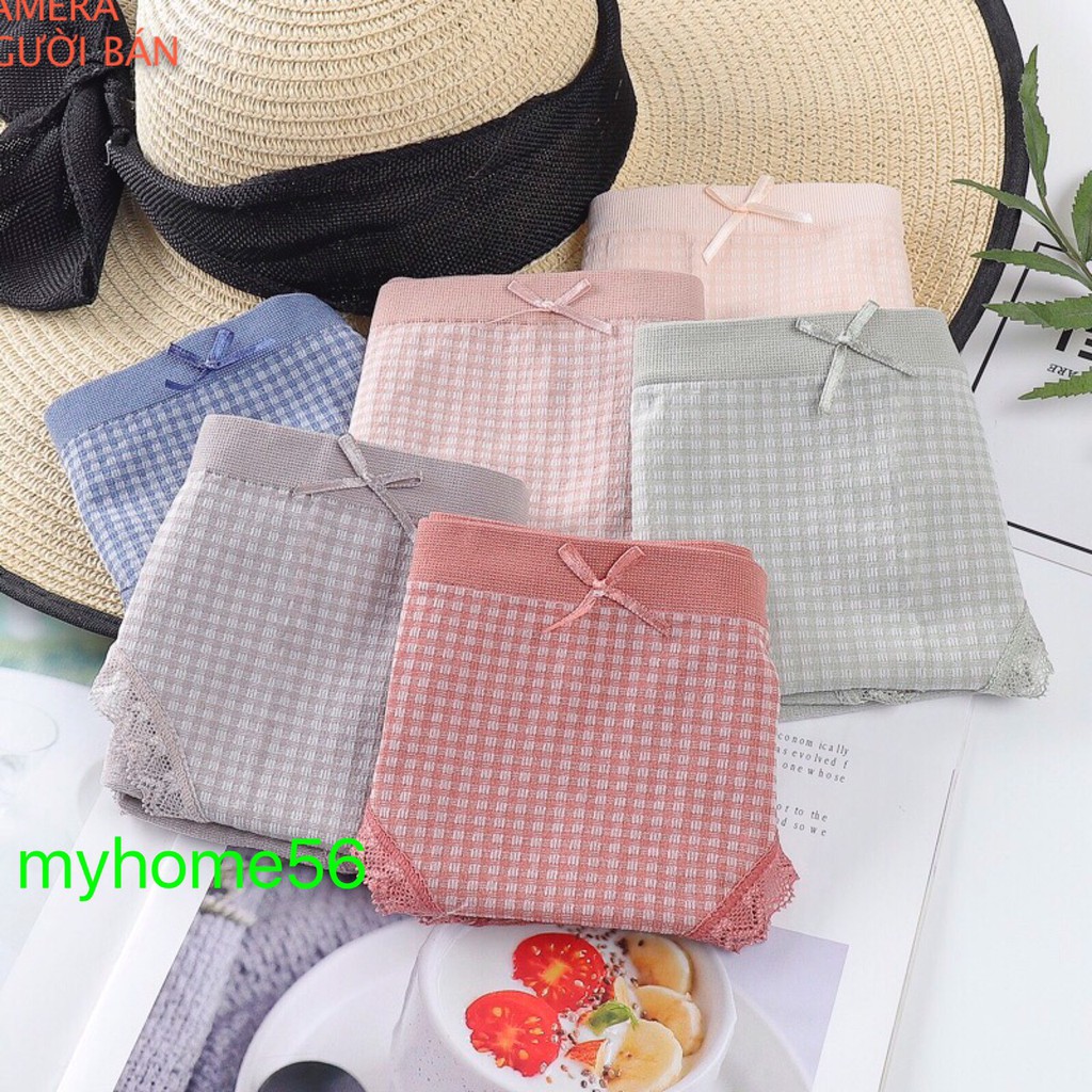 Hộp 5 quần cotton co giãn 4 chiều 008